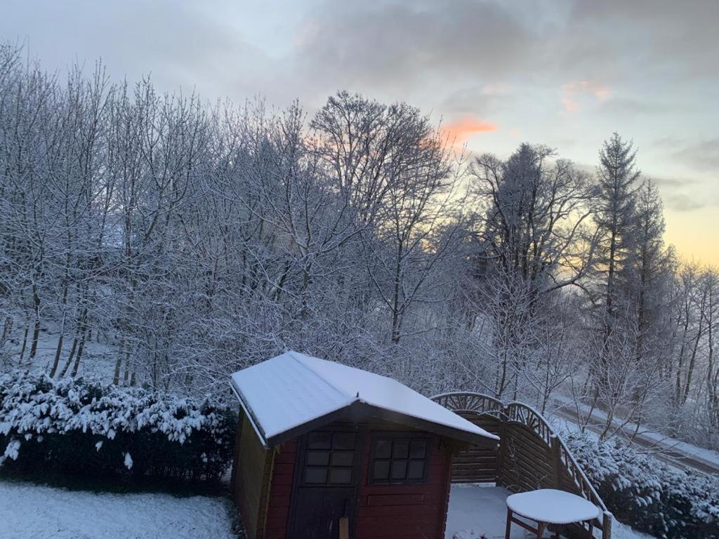 Chill Out Lodge Im Naturparadies Braunlage Exterior foto